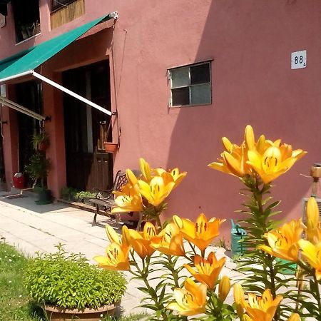 Ecogarden camping Chirignago-Zelarino Buitenkant foto