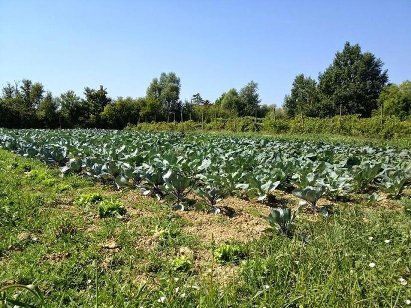 Ecogarden camping Chirignago-Zelarino Buitenkant foto