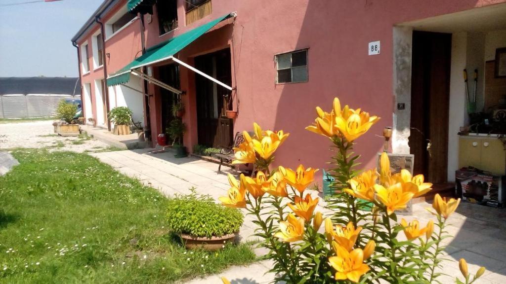 Ecogarden camping Chirignago-Zelarino Buitenkant foto