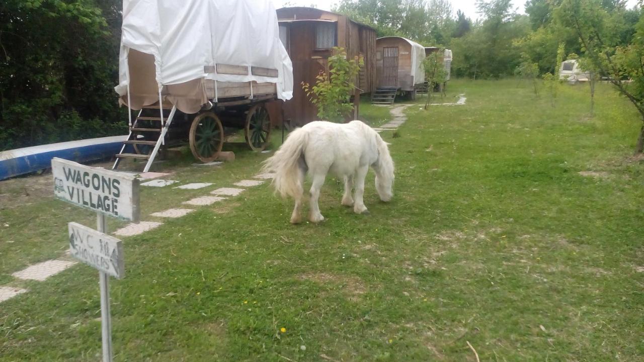 Ecogarden camping Chirignago-Zelarino Buitenkant foto